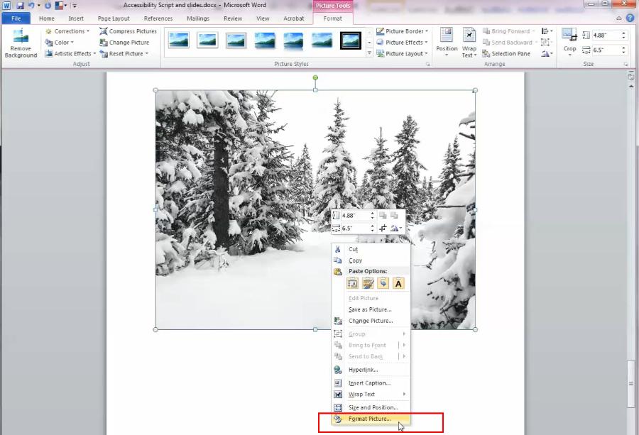 Right click on the desired image, and select "format picture"