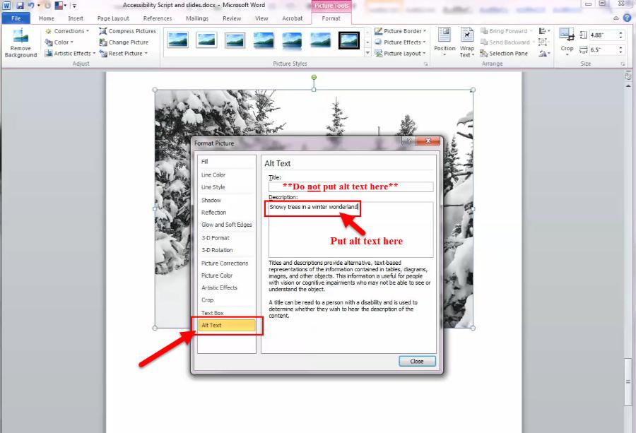 Click on "alt text" in the list to the left and type in the "description" field